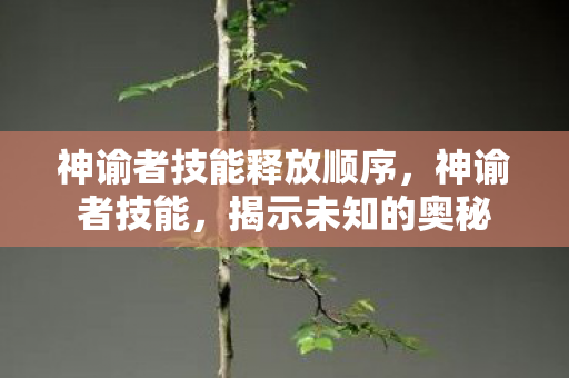 神谕者技能释放顺序，神谕者技能，揭示未知的奥秘
