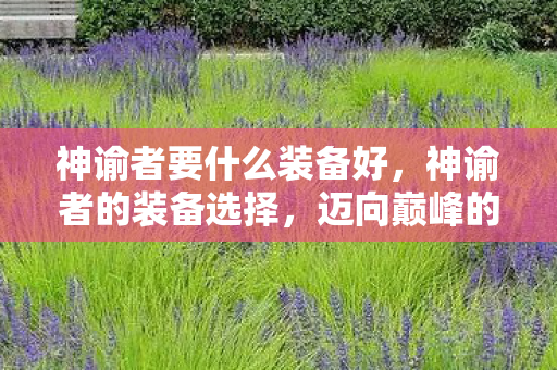 神谕者要什么装备好，神谕者的装备选择，迈向巅峰的必备利器