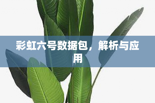 彩虹六号数据包，解析与应用