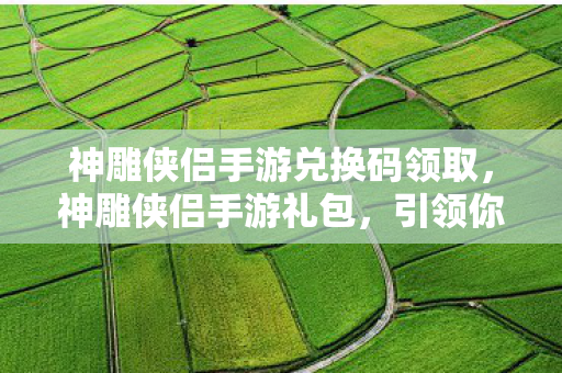 神雕侠侣手游兑换码领取，神雕侠侣手游礼包，引领你进入江湖新世界！