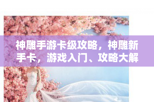 神雕手游卡级攻略，神雕新手卡，游戏入门、攻略大解析