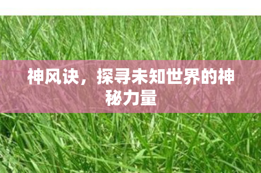 神风诀，探寻未知世界的神秘力量