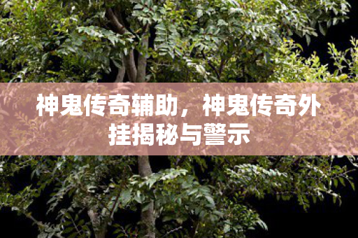 神鬼传奇辅助，神鬼传奇外挂揭秘与警示