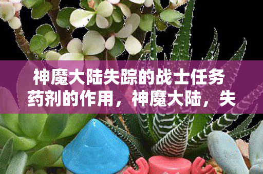 神魔大陆失踪的战士任务 药剂的作用，神魔大陆，失踪战士的神秘任务