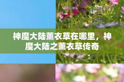 神魔大陆薰衣草在哪里，神魔大陆之薰衣草传奇