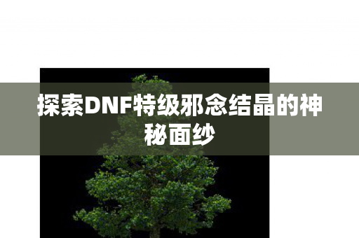 探索DNF特级邪念结晶的神秘面纱