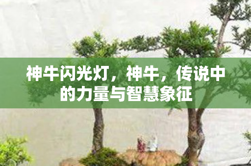 神牛闪光灯，神牛，传说中的力量与智慧象征