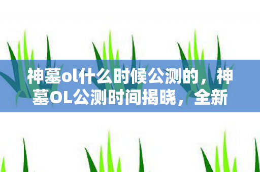 神墓ol什么时候公测的，神墓OL公测时间揭晓，全新世界等你来探索！