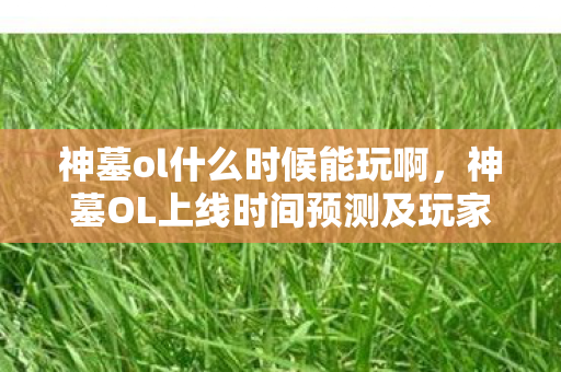 神墓ol什么时候能玩啊，神墓OL上线时间预测及玩家期待探讨