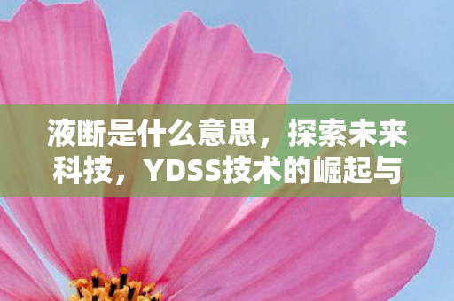 液断是什么意思，探索未来科技，YDSS技术的崛起与挑战