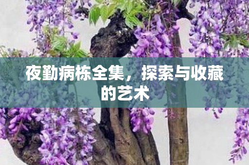 夜勤病栋全集，探索与收藏的艺术