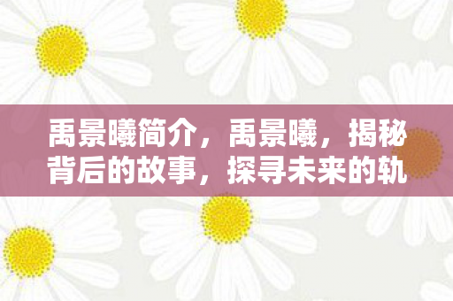 禹景曦简介，禹景曦，揭秘背后的故事，探寻未来的轨迹