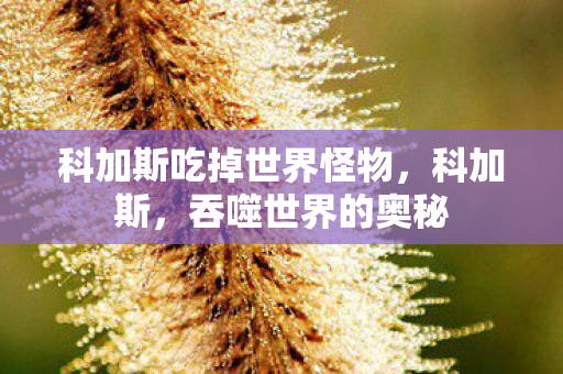 科加斯吃掉世界怪物，科加斯，吞噬世界的奥秘