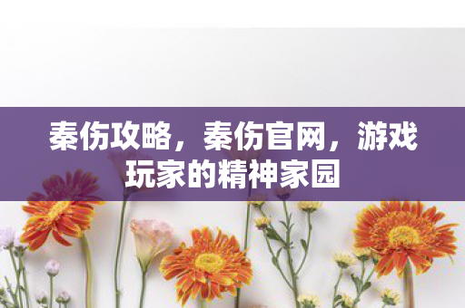 秦伤攻略，秦伤官网，游戏玩家的精神家园