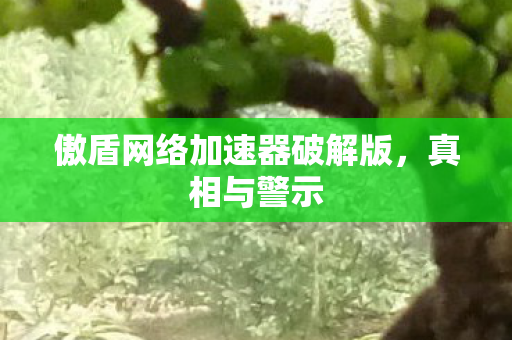 傲盾网络加速器破解版，真相与警示
