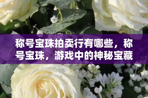 称号宝珠拍卖行有哪些，称号宝珠，游戏中的神秘宝藏与荣誉的象征