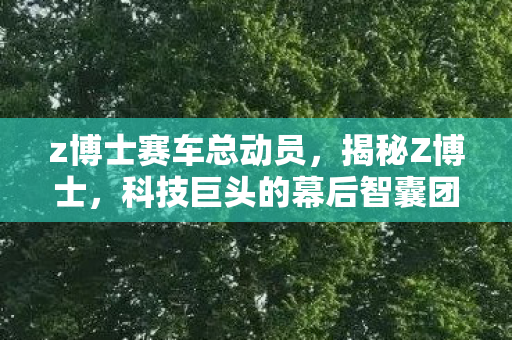 z博士赛车总动员，揭秘Z博士，科技巨头的幕后智囊团