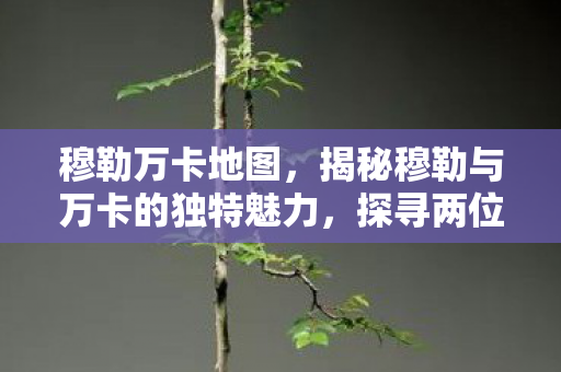 穆勒万卡地图，揭秘穆勒与万卡的独特魅力，探寻两位传奇人物的非凡人生