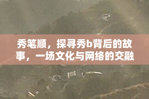 秀笔顺，探寻秀b背后的故事，一场文化与网络的交融之旅