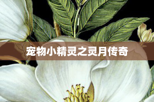 宠物小精灵之灵月传奇