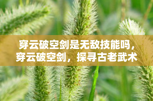 穿云破空剑是无敌技能吗，穿云破空剑，探寻古老武术的奥秘与魅力