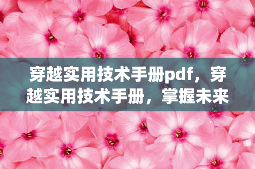 穿越实用技术手册pdf，穿越实用技术手册，掌握未来世界的必备技能
