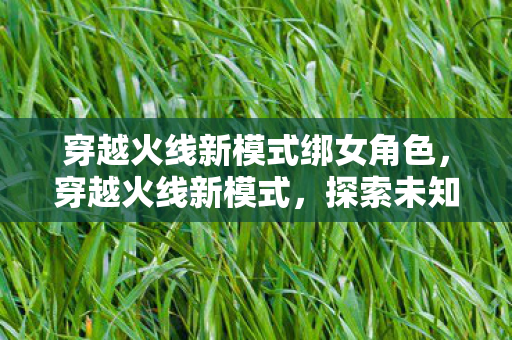 穿越火线新模式绑女角色，穿越火线新模式，探索未知领域，挑战极限生存！