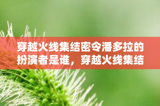 穿越火线集结密令潘多拉的扮演者是谁，穿越火线集结密令，一场电竞盛宴的幕后秘密