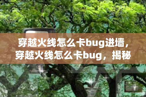 穿越火线怎么卡bug进墙，穿越火线怎么卡bug，揭秘游戏小技巧，助你轻松上分