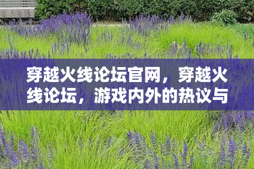 穿越火线论坛官网，穿越火线论坛，游戏内外的热议与探索