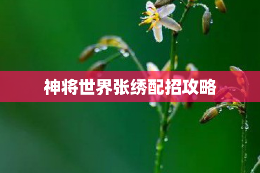 神将世界张绣配招攻略