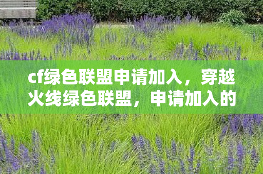cf绿色联盟申请加入，穿越火线绿色联盟，申请加入的征途