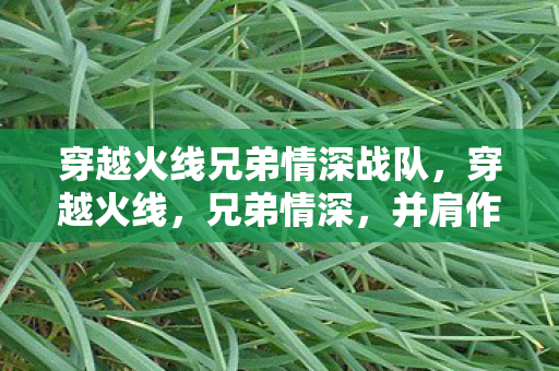 穿越火线兄弟情深战队，穿越火线，兄弟情深，并肩作战的荣耀时刻