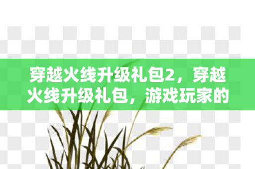 穿越火线升级礼包2，穿越火线升级礼包，游戏玩家的福音