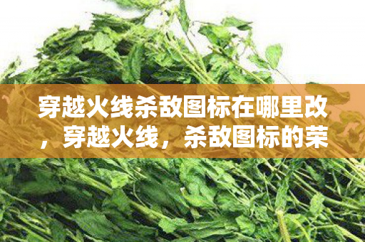 穿越火线杀敌图标在哪里改，穿越火线，杀敌图标的荣耀与传奇