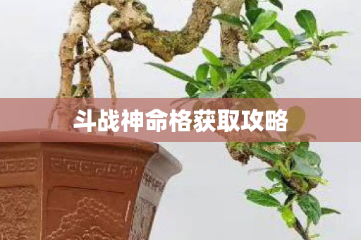 斗战神命格获取攻略