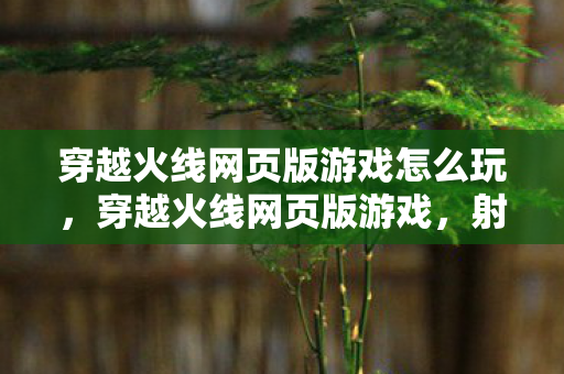 穿越火线网页版游戏怎么玩，穿越火线网页版游戏，射击爱好者的全新体验