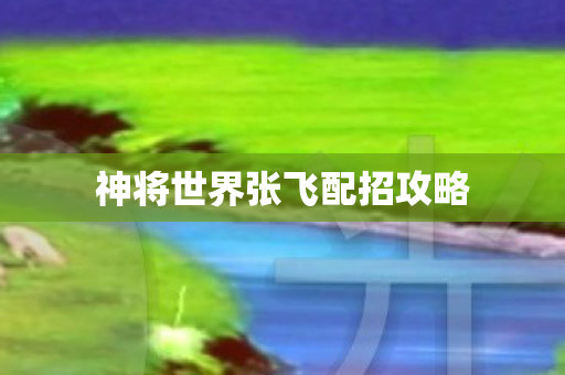神将世界张飞配招攻略