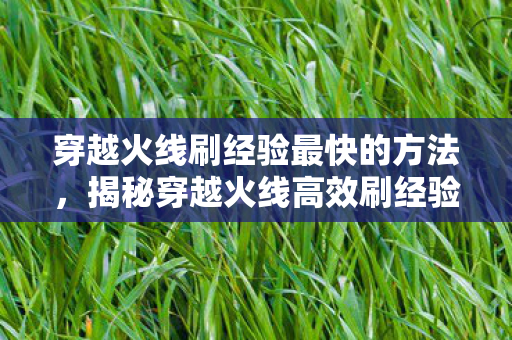 穿越火线刷经验最快的方法，揭秘穿越火线高效刷经验攻略，轻松提升等级，成为战场精英！