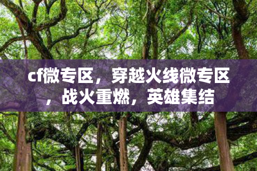 cf微专区，穿越火线微专区，战火重燃，英雄集结