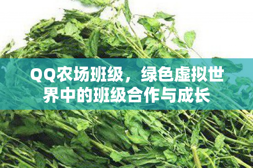 QQ农场班级,绿色虚拟世界中的班级合作与成长 QQ农场班级,绿色虚拟世界中的班级合作与成长