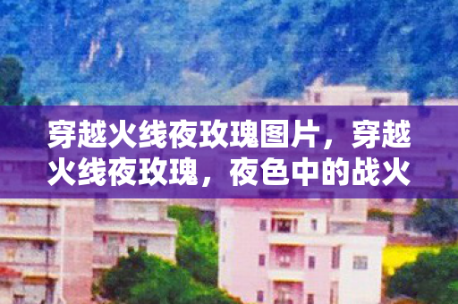 穿越火线夜玫瑰图片，穿越火线夜玫瑰，夜色中的战火与玫瑰的浪漫邂逅