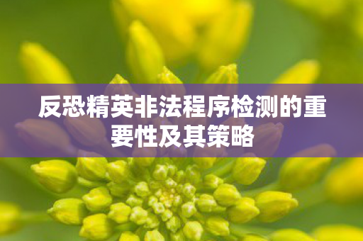 反恐精英非法程序检测的重要性及其策略 反恐精英非法程序检测的重要性及其策略