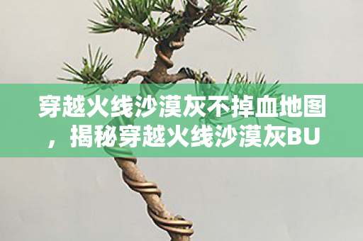 穿越火线沙漠灰不掉血地图，揭秘穿越火线沙漠灰BUG，游戏里的秘密与技巧