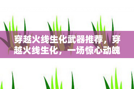 穿越火线生化武器推荐，穿越火线生化，一场惊心动魄的冒险之旅