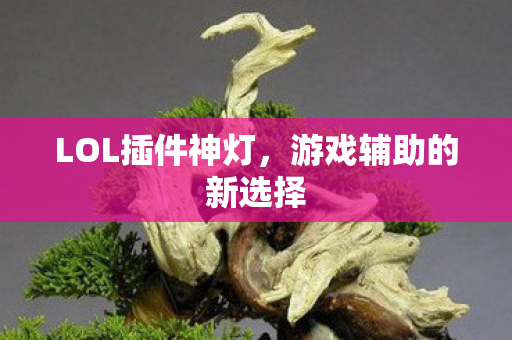 LOL插件神灯,游戏辅助的新选择 LOL插件神灯,游戏辅助的新选择