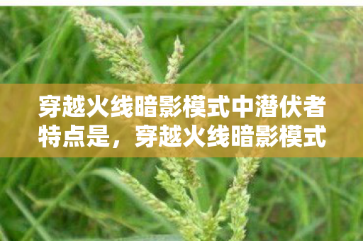 穿越火线暗影模式中潜伏者特点是，穿越火线暗影模式，探索未知世界的生存挑战