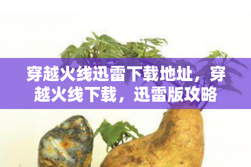 穿越火线迅雷下载地址，穿越火线下载，迅雷版攻略