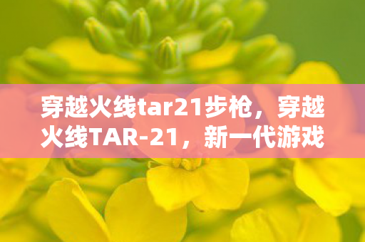 穿越火线tar21步枪，穿越火线TAR-21，新一代游戏利器揭秘
