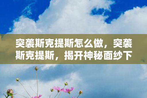 突袭斯克提斯怎么做，突袭斯克提斯，揭开神秘面纱下的真相
